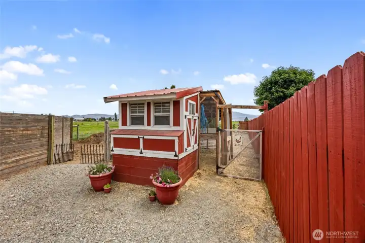 Chicken Coop Chicken Coop