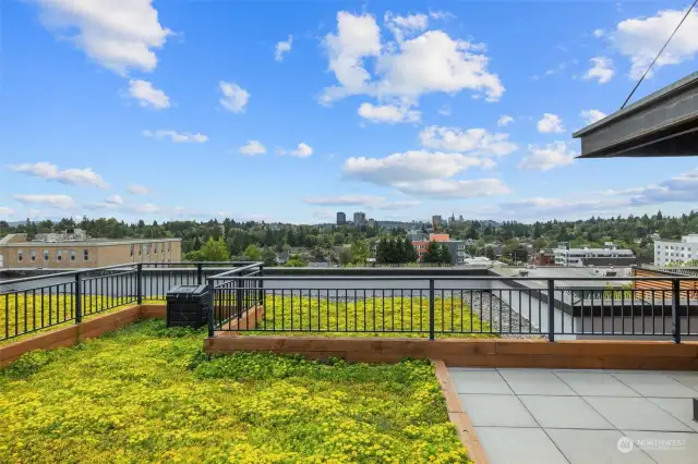 Enjoy the field and track at nearby Roosevelt High School, or go cruise around Greenlake.