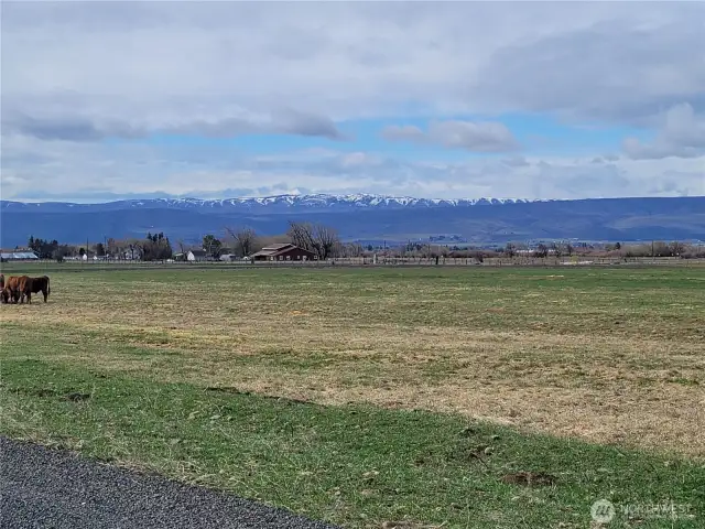 Manastash View
