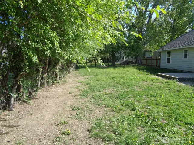 Back yard facing N