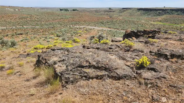 Upper lot view