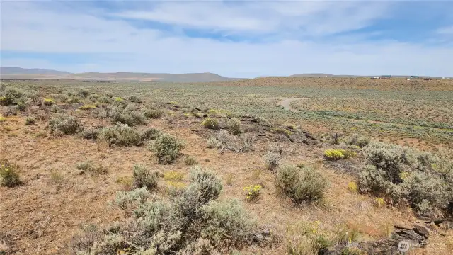 Upper Lot view to the west