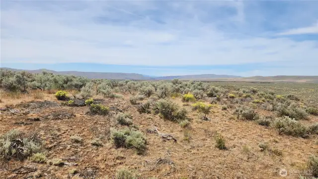 Upper Lot view to the west