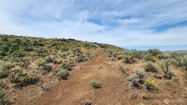 Lower part of the lot - trail leads up to the upper lot. Or you can drive around.