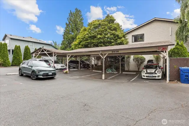 Parking lot. Reserved covered parking in spot 10. There are 4 visitor spots and street parking for guests.