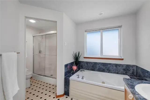 Brand new shower doors and toilet! Lots of light, including natural light, but still private.