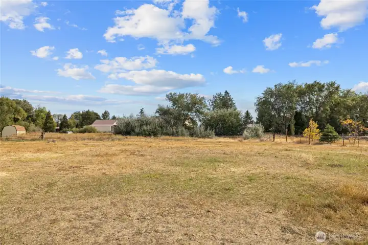 East pasture