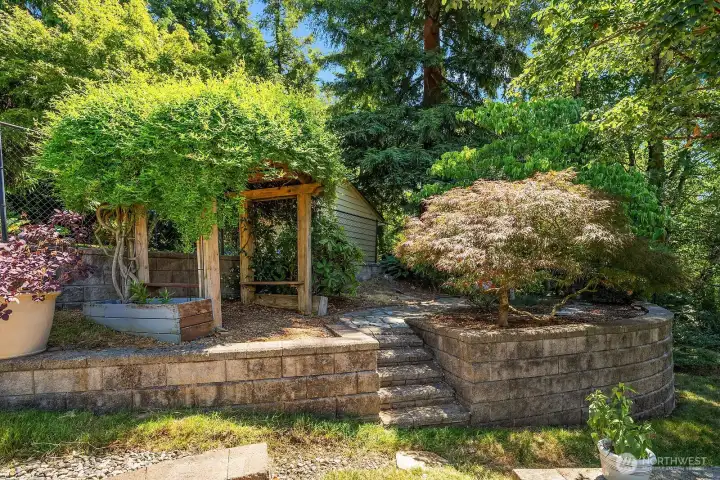 Stone steps lead through the beautifully terraced landscape to a garden arbor surrounded by mature Japanese maples, shrubs, and established plantings.