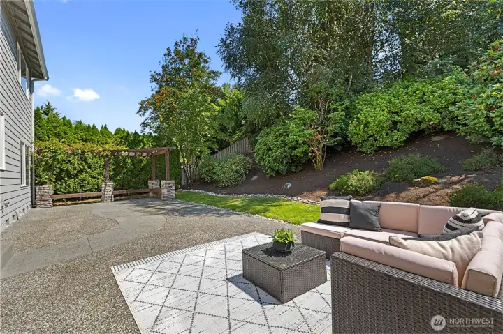 Enormous Back Patio