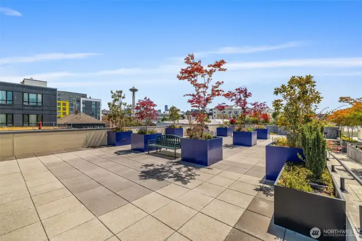 Building rooftop deck.