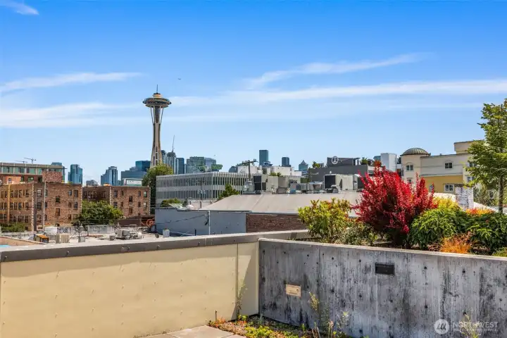 View from common rooftop deck.