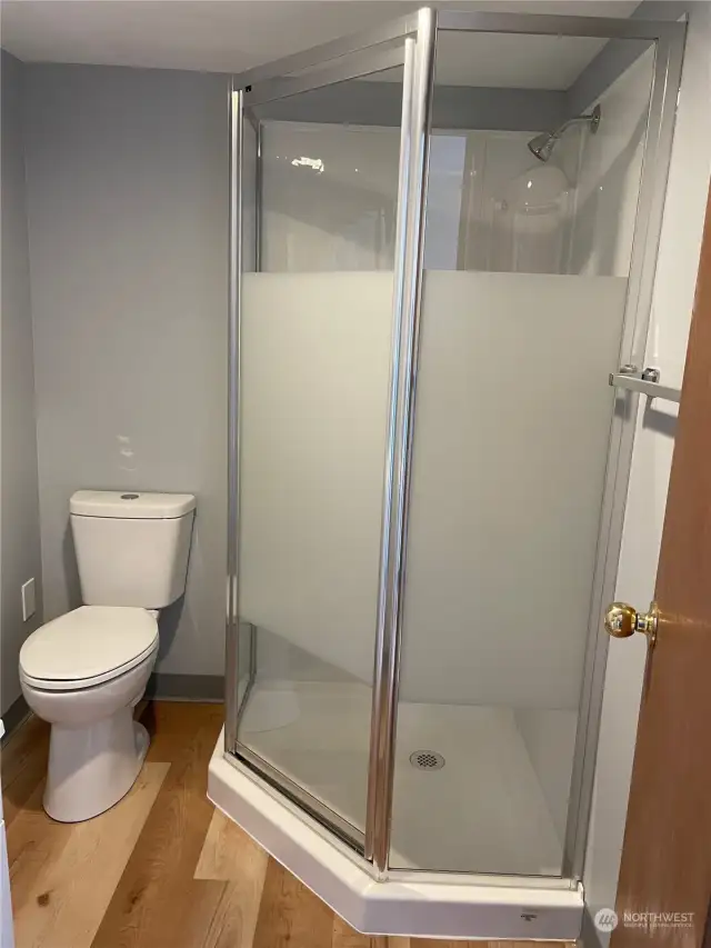 There is a bathroom with sink, toilet and shower on the lower level.