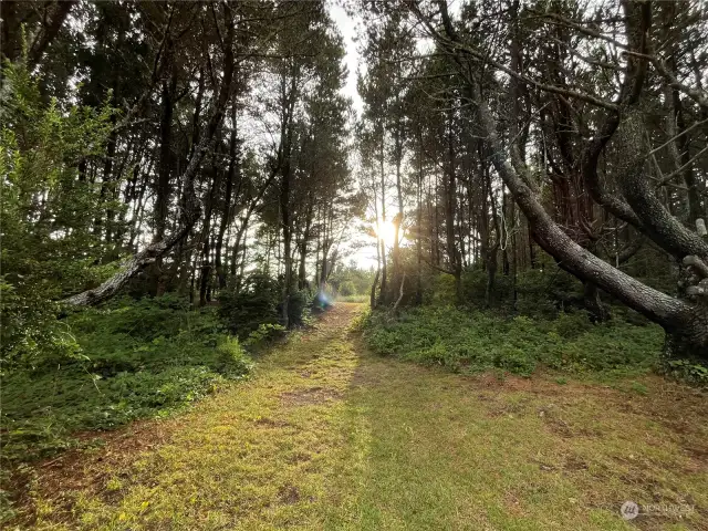 Property Walkway towards beach