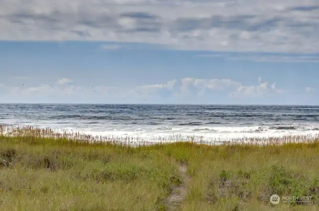 Beach from walkway on property