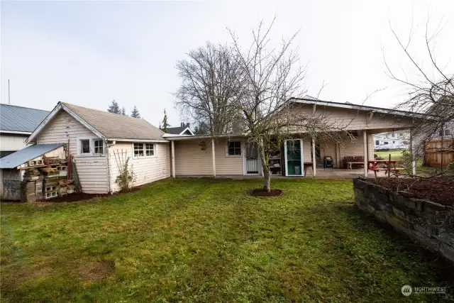 Backyard with fruit trees