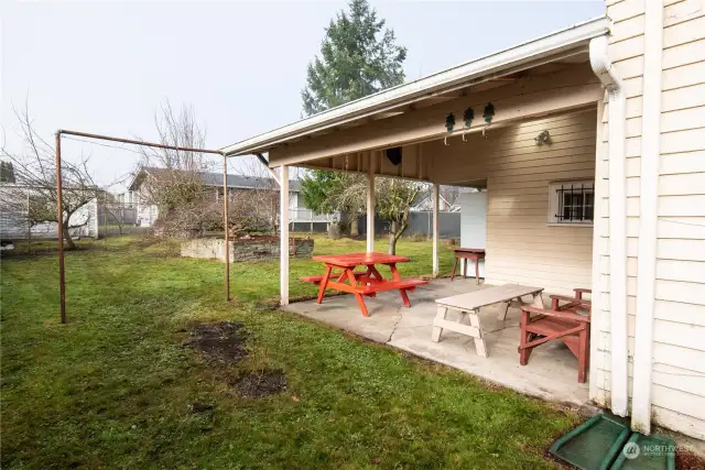 View from south side to backyard - laundry, apple, plum and cherry trees