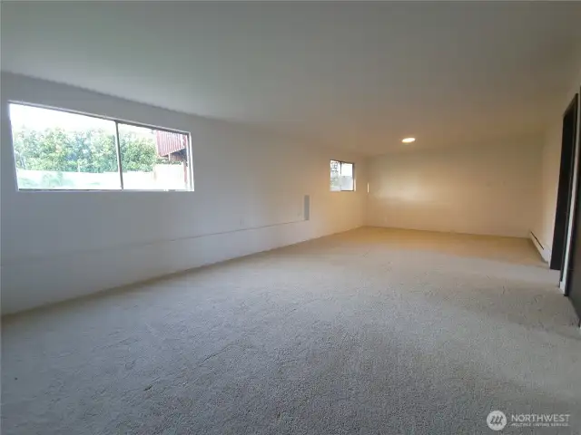 Lower level living room