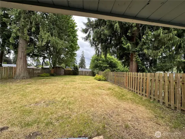 Backyard of left side unit