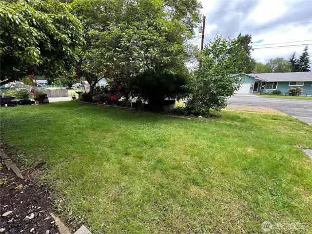 Front yard