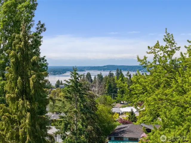 View's of the sound and Olympics can be enjoyed from several places on the property.