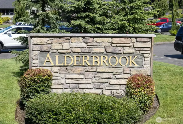 welcome to Alderbrook!
