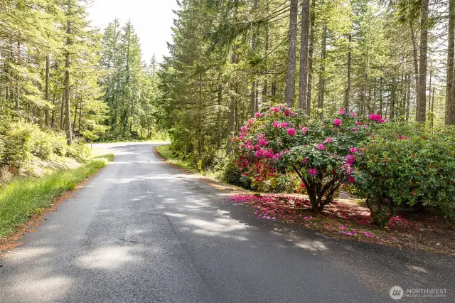 Michelle Drive is a dead end street leading into a culdesac