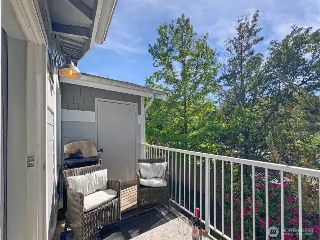 Patio offers a large storage closet.