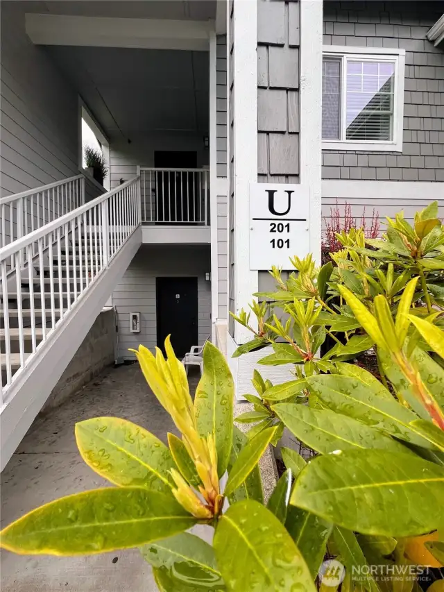 Stairs to Front Door - only 1 flight of stairs to top floor unitl
