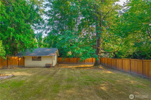 Spacious yard