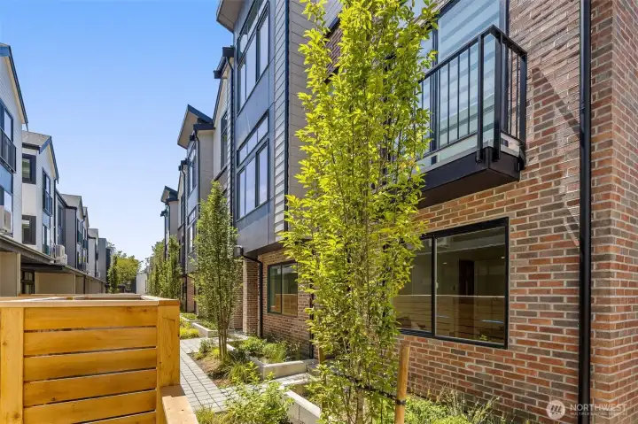 A look across the Willow enclave reveals contemporary homes framed by landscaped courtyards.