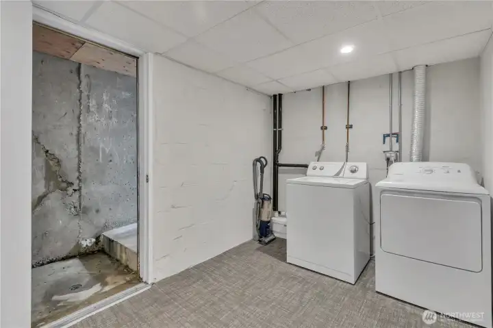 Basement door to backyard