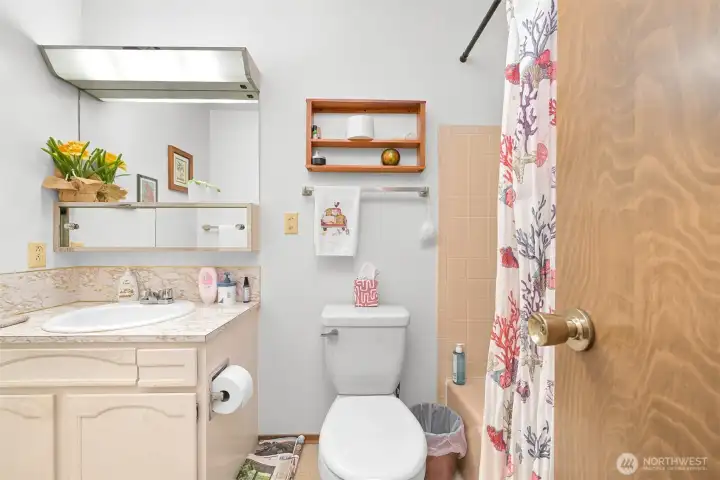 Hall bathroom