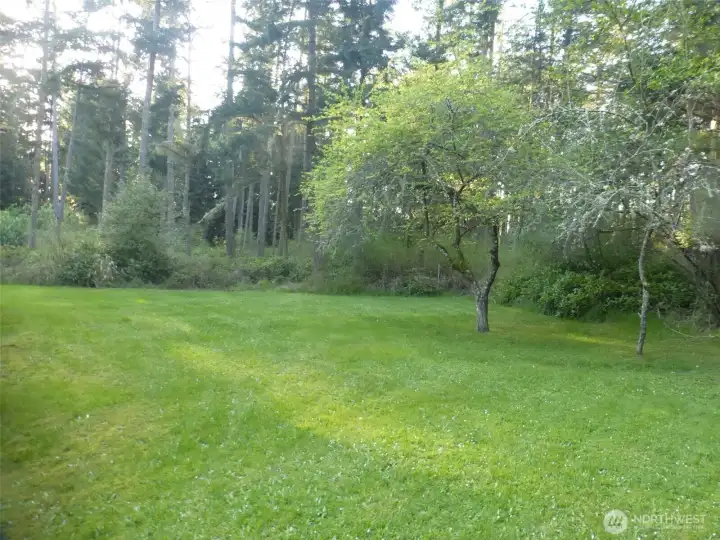 nice yard