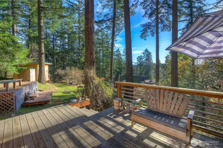 View from cottage