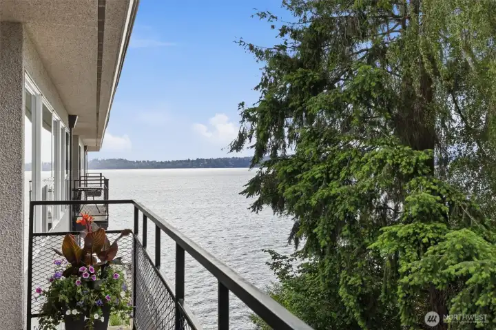 View of lake Washington from 307's balcony
