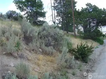 Mostly over grown, there are several level pads for your dream home with great views.