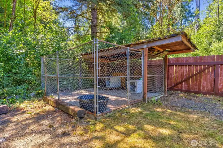 Dog Kennel Dog Kennel