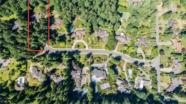Over 1.6 acres of Privacy in the stunning neighborhood of Starwood