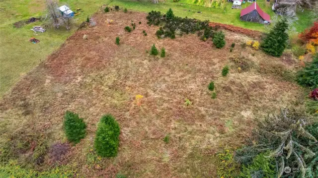 Potential building site has been cleared.