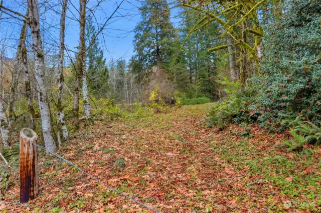 potential driveway to interior of property