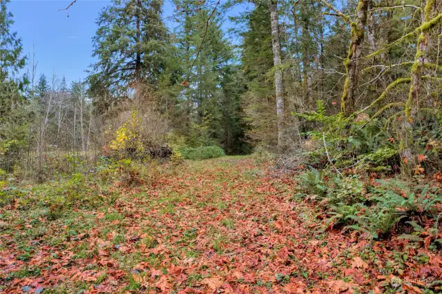 Second photo of potential driveway to interior of property