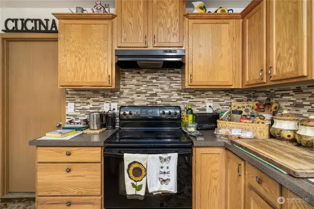 Closer view of the range and backsplash. The door on the left enters the HUGE pantry and utility room and is a pass-thru from the attached garage.