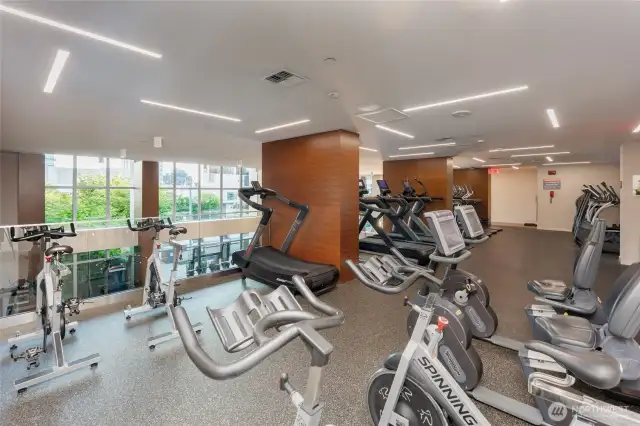 Lower & Upper Gym w/Wet & Dry Saunas, Spa & Locker Rooms
