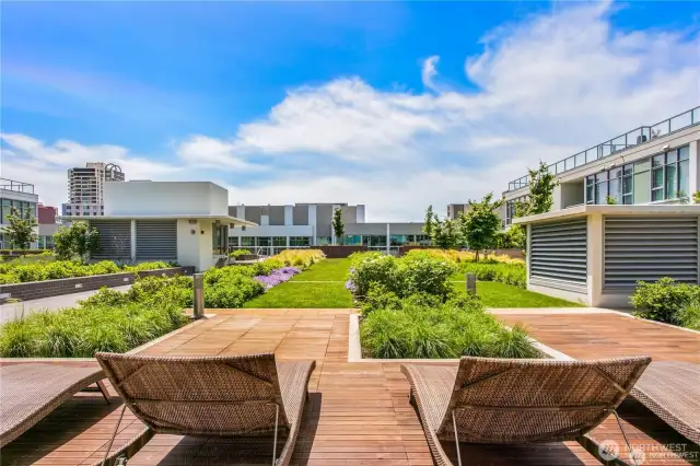 Park Terrace