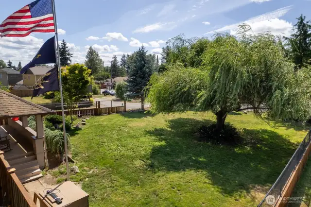 Front yard