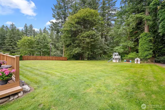Expansive, partially fenced backyard bordered by lush evergreens—perfect for play, gardening, or entertaining