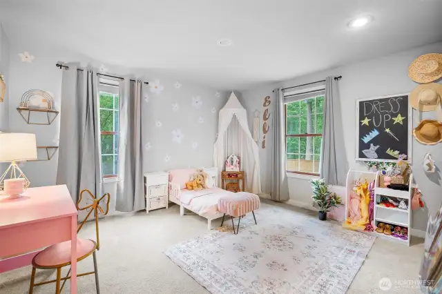 Charming and spacious bedroom, generous natural light, and plush carpeting—ideal for imaginative ideas and restful nights.