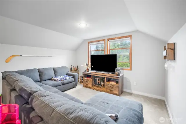 Cozy upstairs loft with plush carpeting, large windows for natural light, and space to unwind with your favorite movie or show.