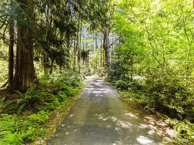 Paved driveway behind gate