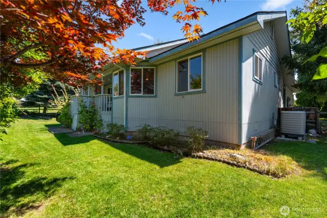 West side yard